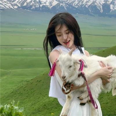 暴龙来袭